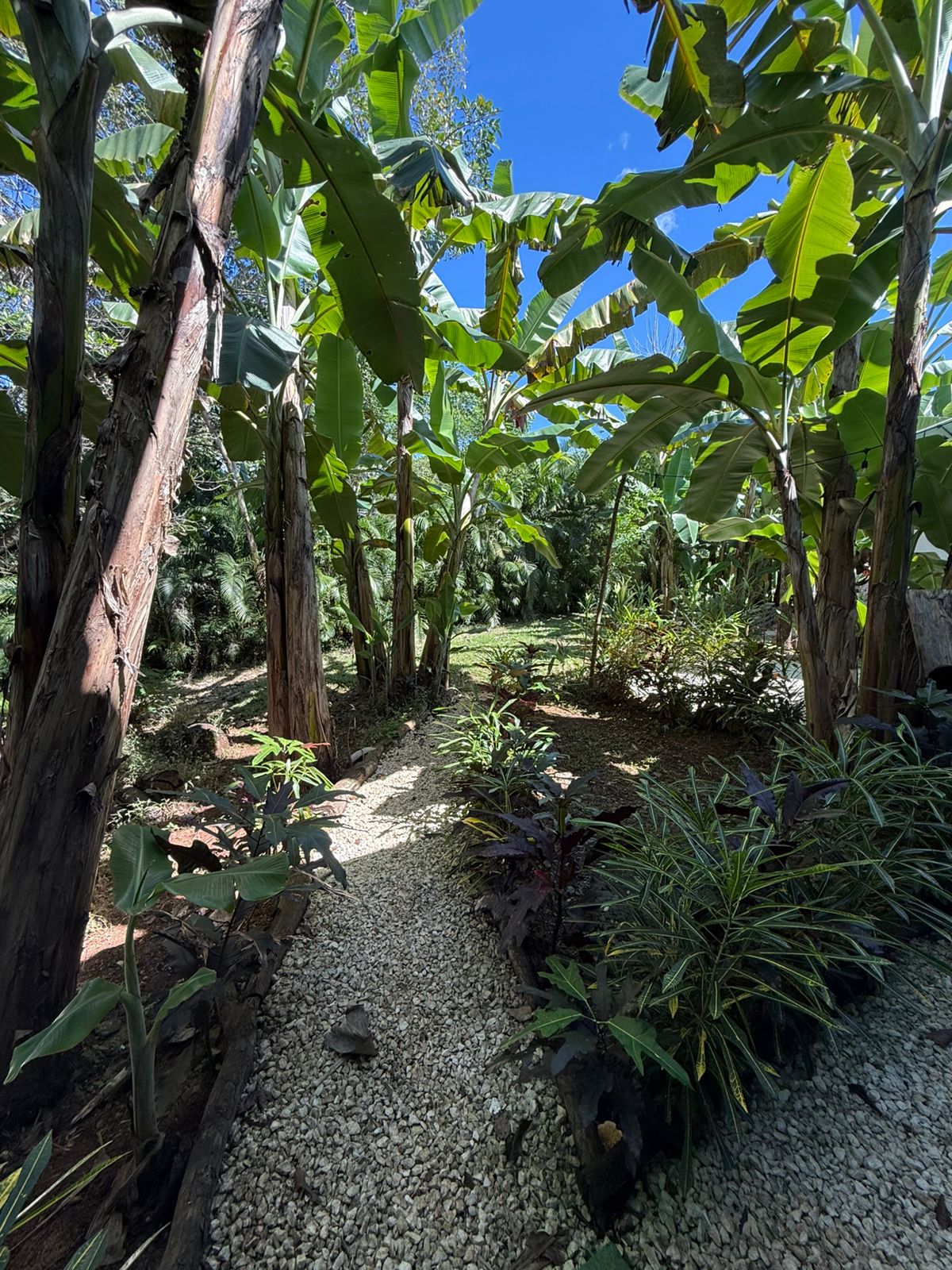 Architectural detail of the entrance and gardens